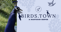 Birds.town server image.png